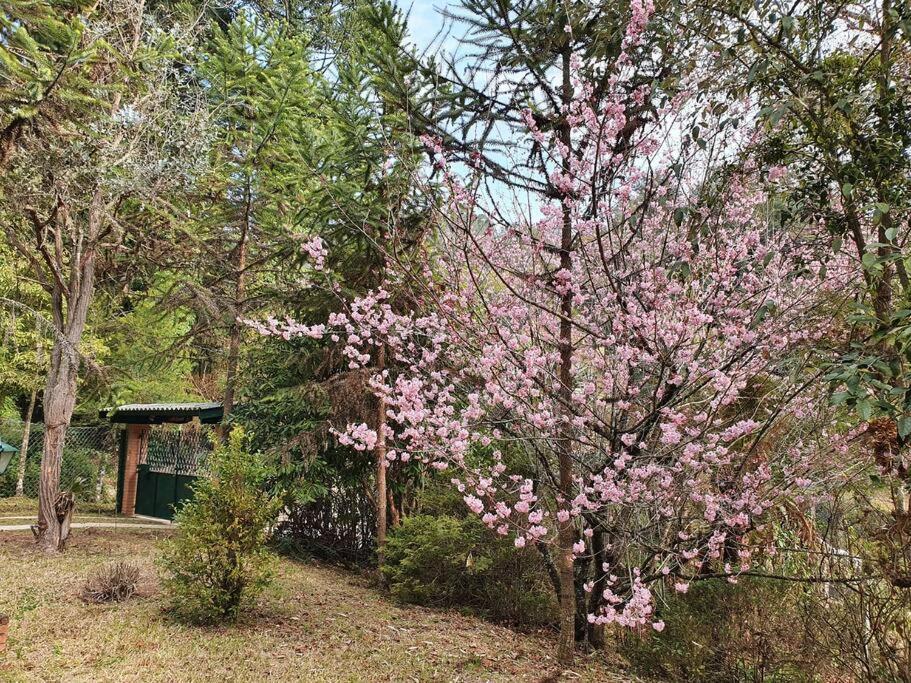 Casa Da Nanna Campos Villa Campos do Jordão Buitenkant foto